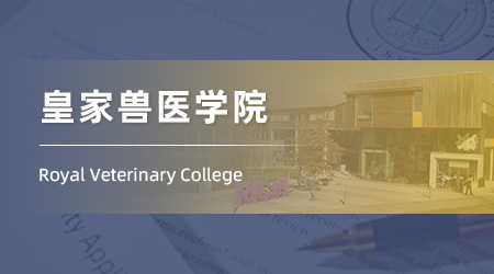 2025英國本科留學offe：A-level錄取【皇家獸醫(yī)學院】獸醫(yī)學學士