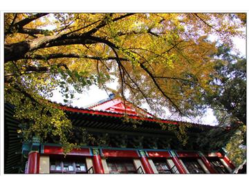 南師大英國留學(xué)，哪家機(jī)構(gòu)比較好