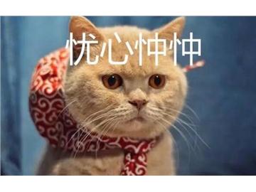 2018英國留學(xué)必須要提到的上海留學(xué)中介機構(gòu)排名