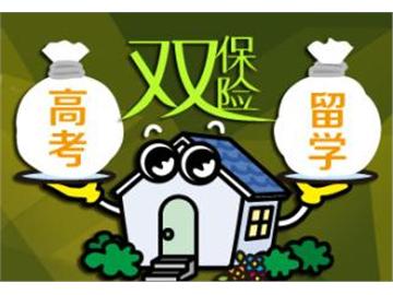 高考+留學(xué)，這樣做才是雙保險(xiǎn)！