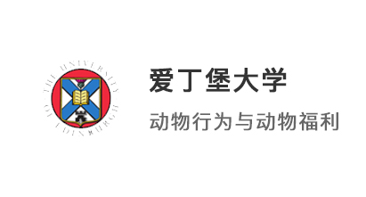 【碩士案例】雙非均分81冷門(mén)專(zhuān)業(yè)，考研后逆襲愛(ài)丁堡大學(xué)、KCL！
