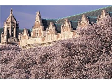 美國十大校園環(huán)境優(yōu)美的大學(xué)